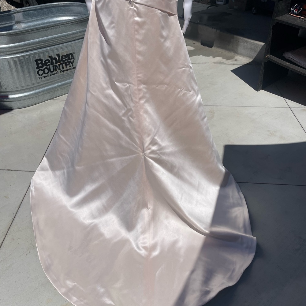 Couture Collection elegant Blush wedding dress - Picture 10 of 15